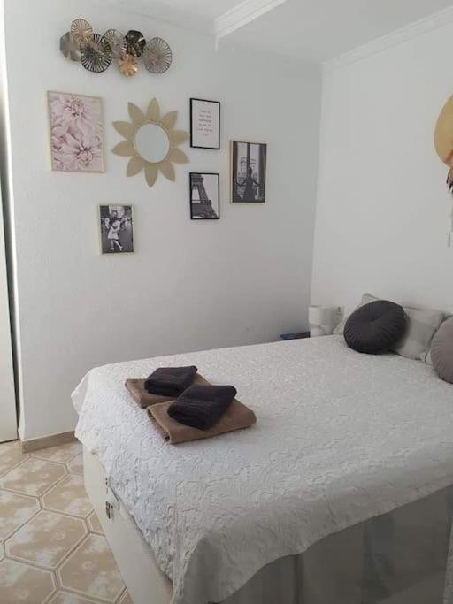 Costa Blanca Family Apartments One Bedroom Apartment Torrevieja Zewnętrze zdjęcie